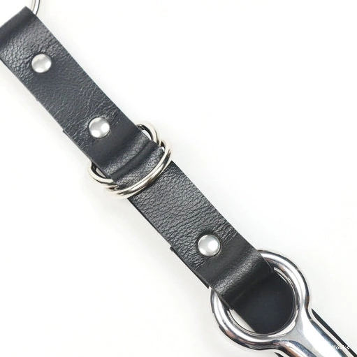 Anal Hooks Collar Kinky EverydayUse Anal Hook 5853 Leash with and 0116